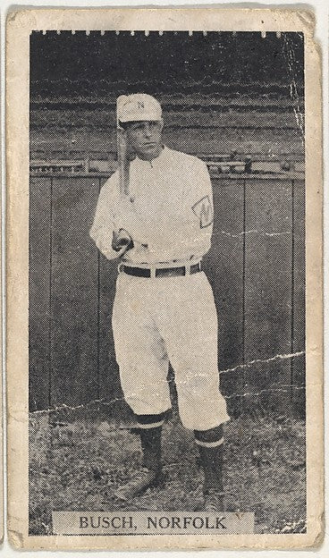 :Busch Norfolk from the Contentnea series for the American T-16x12"(A3) Poster