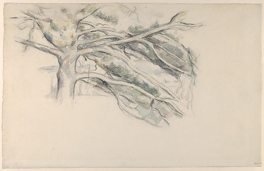 Large Pine  Study 1890–95-Paul Cézanne,16x12"(A3) Poster