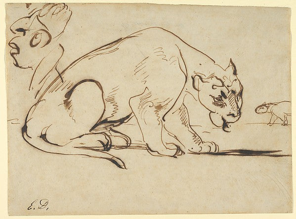 A Lioness and a Caricature of Ingres 1850s-Eugène Delacroix,16x12"(A3) Poster
