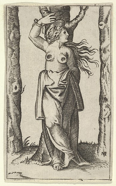 Saint Agatha tied to a tree  her breasts have been cut off  fr,  Poster Print