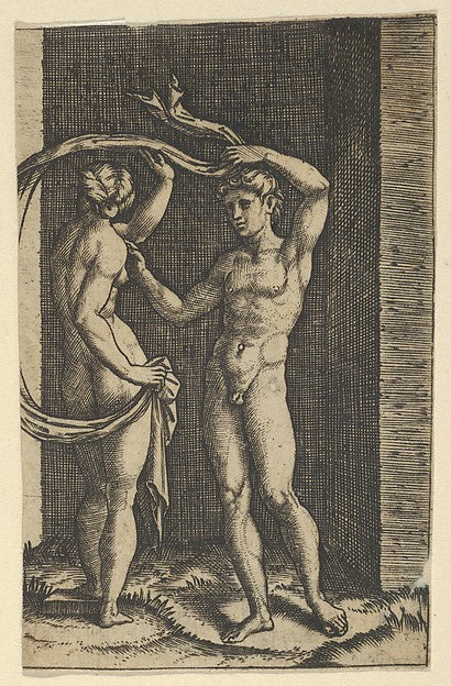 Nude woman viewed from behind holding fabric which blows behin,  Poster Print