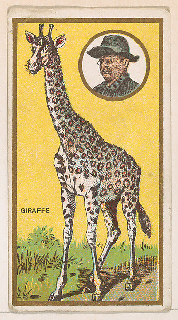 :Giraffe from the "Teddy's Trophies" series for the American-16x12"(A3) Poster
