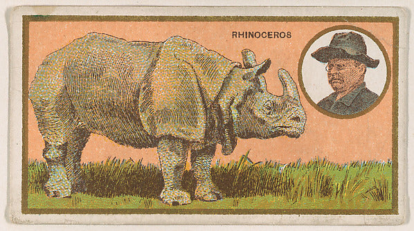 :Rhinoceros from the "Teddy's Trophies" series for the Ameri-16x12"(A3) Poster