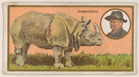 :Rhinoceros from the "Teddy's Trophies" series for the Ameri-16x12"(A3) Poster