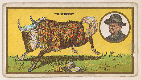 :Wildebeest from the "Teddy's Trophies" series for the Ameri-16x12"(A3) Poster