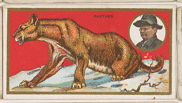 :Panther from the "Teddy's Trophies" series for the American-16x12"(A3) Poster