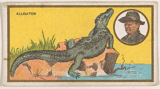 :Alligator from the "Teddy's Trophies" series for the Americ-16x12"(A3) Poster