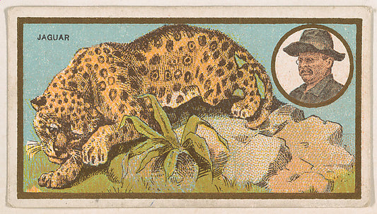 :Jaguar from the "Teddy's Trophies" series for the American -16x12"(A3) Poster