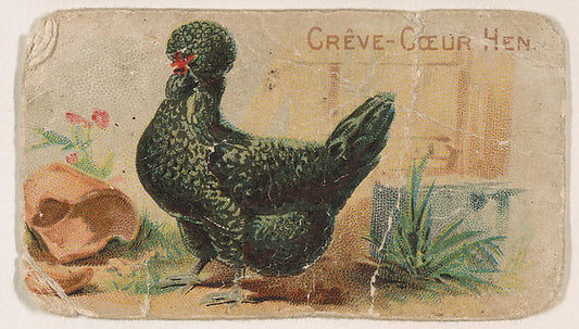 :Crève-Cœur Hen from the Zoo Fowls series issued by The Phil-16x12"(A3) Poster
