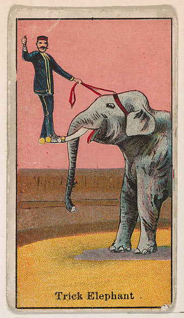 :Trick Elephant from The Circus series issued by Messer's Gu-16x12"(A3) Poster