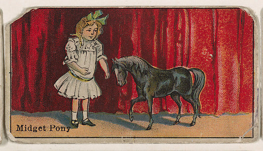 :Midget Pony from The Circus series issued by Messer's Gum c-16x12"(A3) Poster