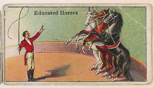 :Educated Horses from The Circus series issued by Messer's G-16x12"(A3) Poster