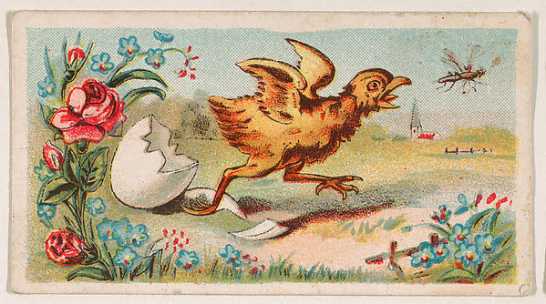 :Newly hatched chick chasing insect from the Easter Subjects-16x12"(A3) Poster