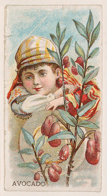 :Avocado from the Fruits series for Hershey Chocolate Compan-16x12"(A3) Poster