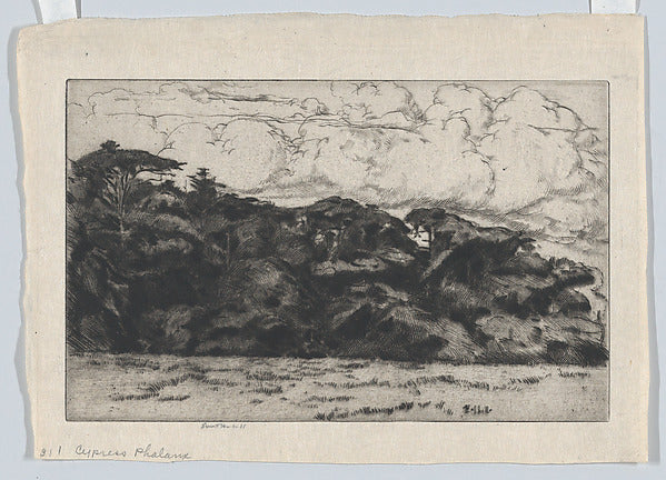 Ernest Haskell:Cypress Phalanx 1915-16x12"(A3) Poster