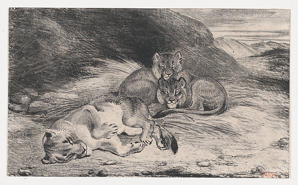 Lioness and Cubs possibly 1832-Antoine-Louis Barye, Poster Print
