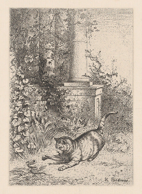 Karl Bodmer:A Domestic Cat Playing with a Garter Snake c1860-16x12"(A3) Poster
