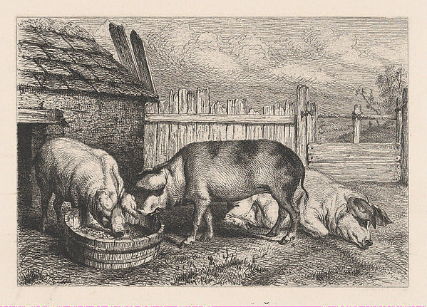 Karl Bodmer:Three Pigs Near a Fence c1860-16x12"(A3) Poster