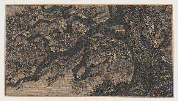 Eugène Stanislas Alexandre Bléry:The Branches of an Oak Tree-16x12"(A3) Poster