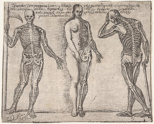 José García Hidalgo:Studies of three skeleton from the 'Prin-16x12"(A3) Poster