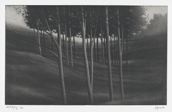 Robert Kipniss:From White Hollow Road -16x12"(A3) Poster