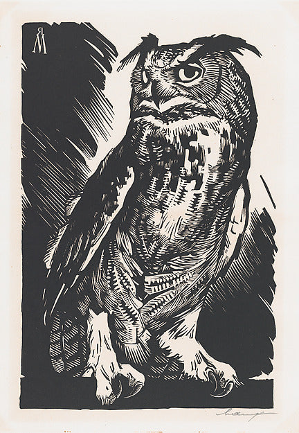 R. Micailus:The Owl 20th century-16x12"(A3) Poster