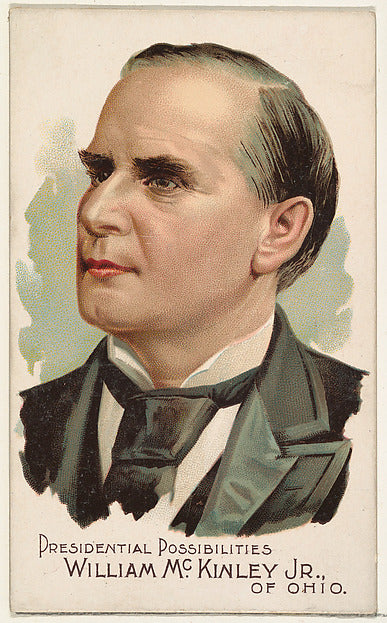 :William McKinley Jr. of Ohio from the Presidential Possibil-16x12"(A3) Poster