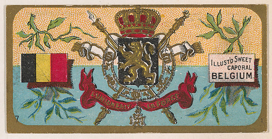 :Coat of Arms Belgium from the Military Series issued by Kin-16x12"(A3) Poster