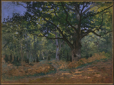 Claude Monet:The Bodmer Oak Fontainebleau Forest 1865-16x12"(A3) Poster