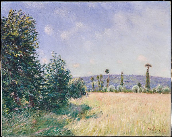 Alfred Sisley:Sahurs Meadows in Morning Sun 1894-16x12"(A3) Poster