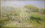 Claude Monet:Spring 1873-16x12"(A3) Poster