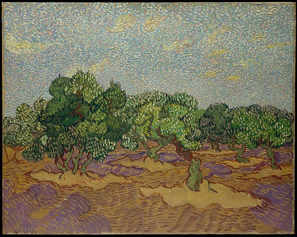 Vincent van Gogh:Olive Trees 1889-16x12