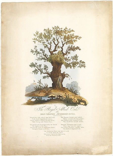 The Royal Allied Oak and Self-Created Mushroom Kings May 29,1,  Poster Print Wall Art