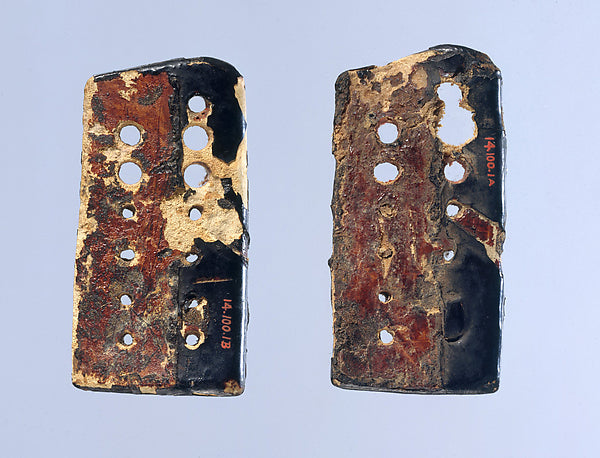 Armor Fragments  11th cent,  Poster Print Wall Art
