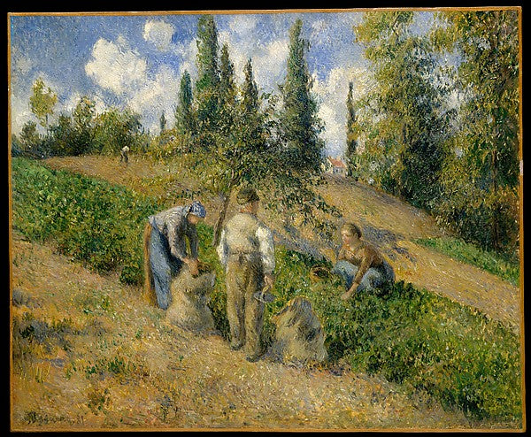 Camille Pissarro:The Harvest Pontoise 1881-16x12"(A3) Poster