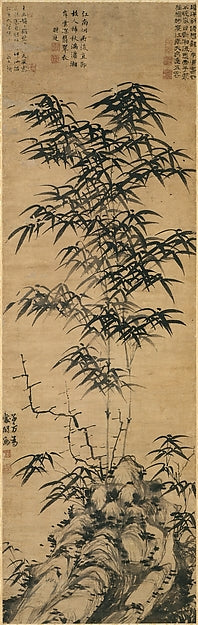 Bamboo and rock c1360–67-Deng Yu,Classic Ming China Image,  Poster Print Wall Art