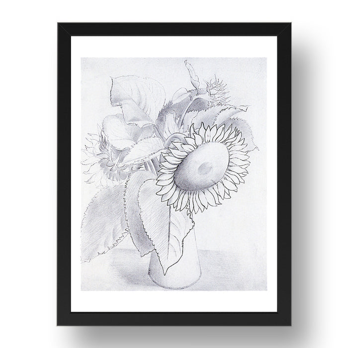 Drawing of a Sunflowers by Eric Ravilious, 17x13