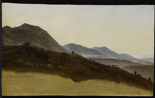 :Silky Cock from the Zoo Fowls series issued by The Philadel-16x12"(A3) Poster