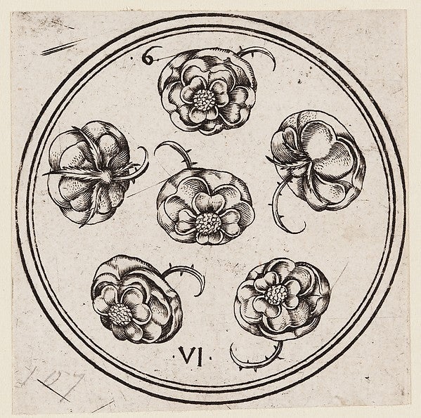 Master PW of Cologne:6 of Roses from The Round Playing Cards-16x12"(A3) Poster