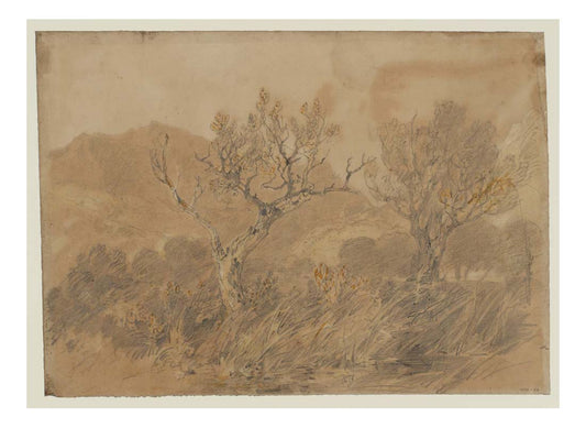 In Glen Almond near Newton Bridge, Two Trees, with a Mountain Beyond, 1801 by John Mallord William Turner RA