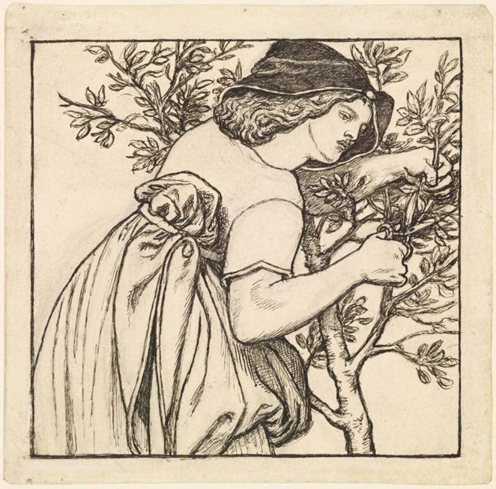 King Rene's Honeymoon - Gardening -, ca1861 by Dante Gabriel Rossetti, English Pre-Raphaelite Painter