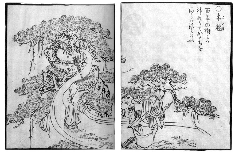 Kodama, historic, vintage ukiyo-e Japan artwork,12x8"(A4) Poster Print