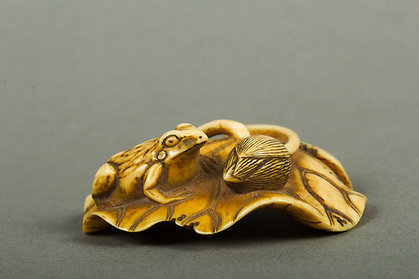 Netsuke of Frog on a Lotus Leaf 18th cent,  Poster Print