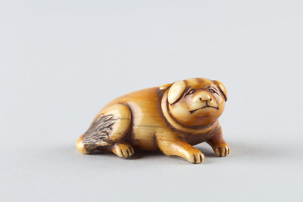 Netsuke of puppy 18th cent,  Poster Print