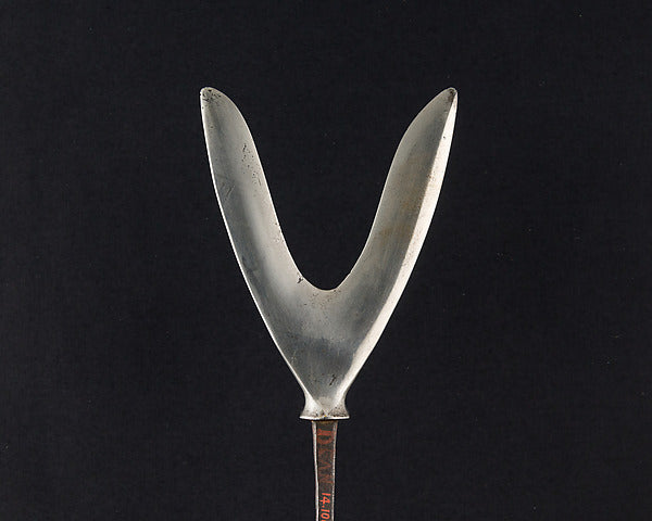 Arrowhead  13th–18th cent,  Poster Print Wall Art