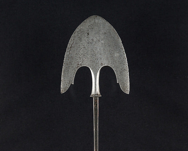 Arrowhead  dated 1647,  Poster Print Wall Art