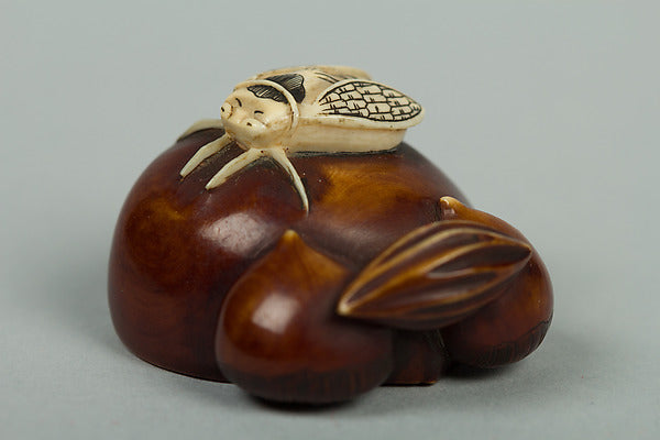 Netsuke of Chestnuts and a Fly 19th cent,  Poster Print