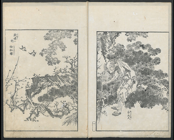 Examples of Hokusai's Drawing 1818-Katsushika Hokusai 1760–18,  Poster Print Wall Art