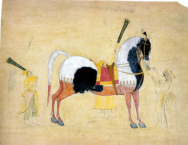 The Stallion Kitab c1730–35-Attributed to Bhavanidas,16x12"(A3)Poster