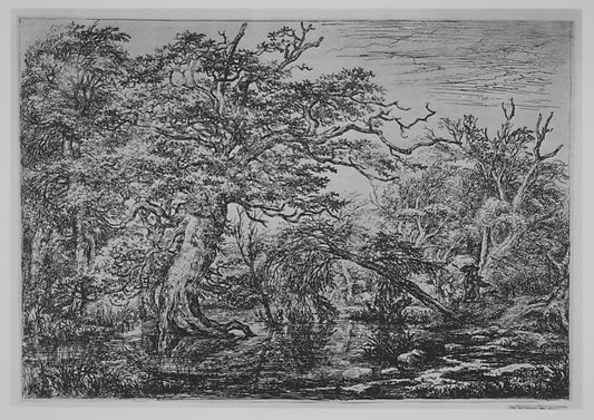 A Forest Marsh with Travelers on a Bank  17th cent-Jacob van R,16x12"(A3)Poster